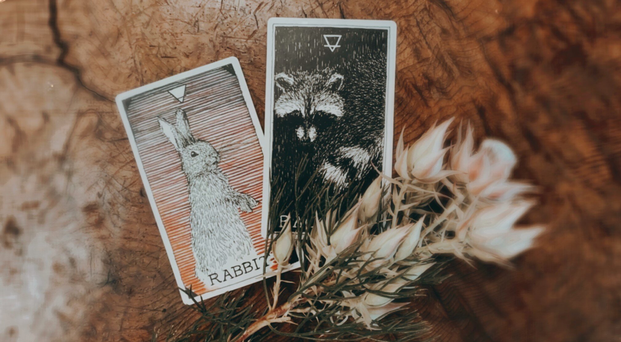 Rabbit and Raccoon.jpg