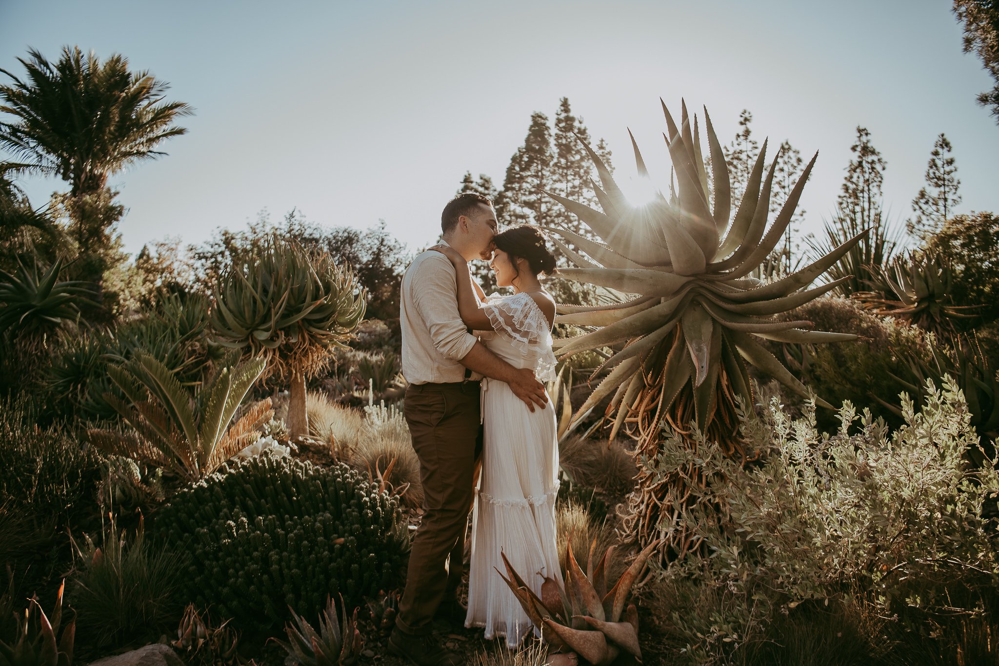 photograph of bride and groom at sunset with groom kissing forehead and garden around them