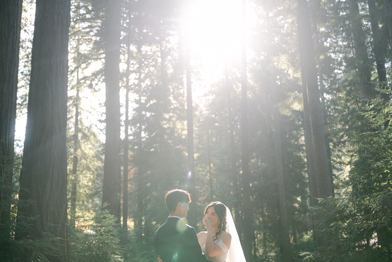 Couples first look in redwoods