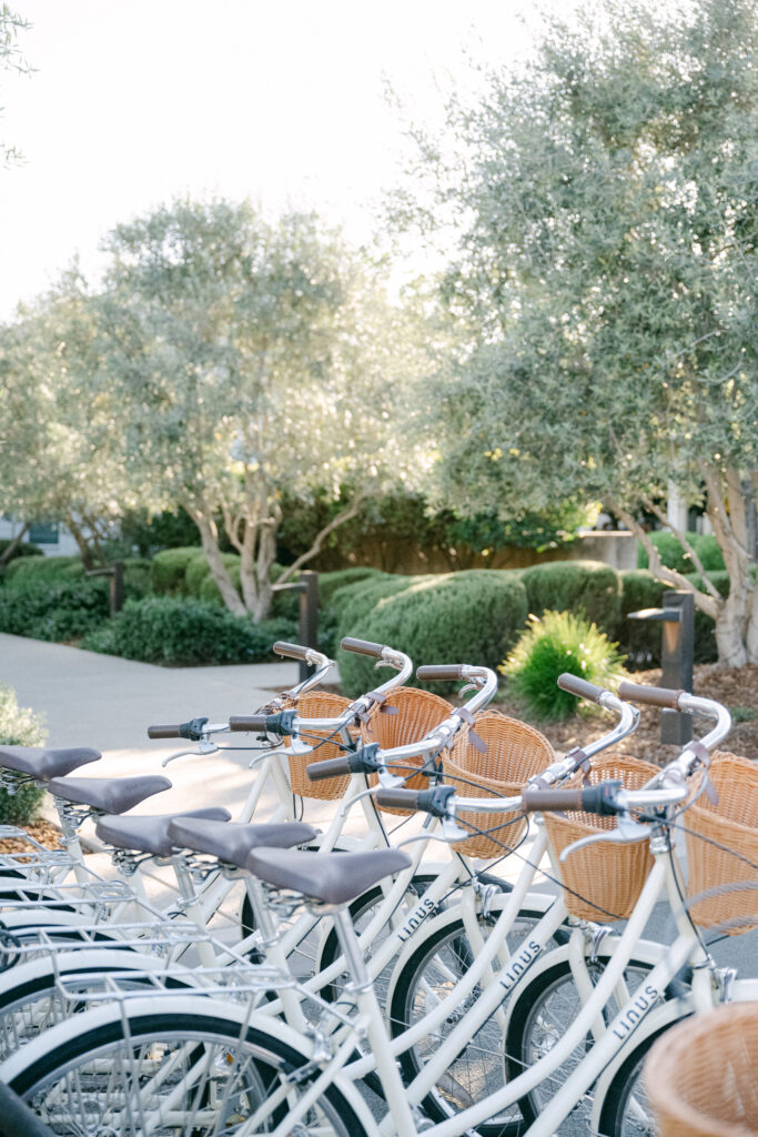 bikes lined up at the front of solage before the wedding