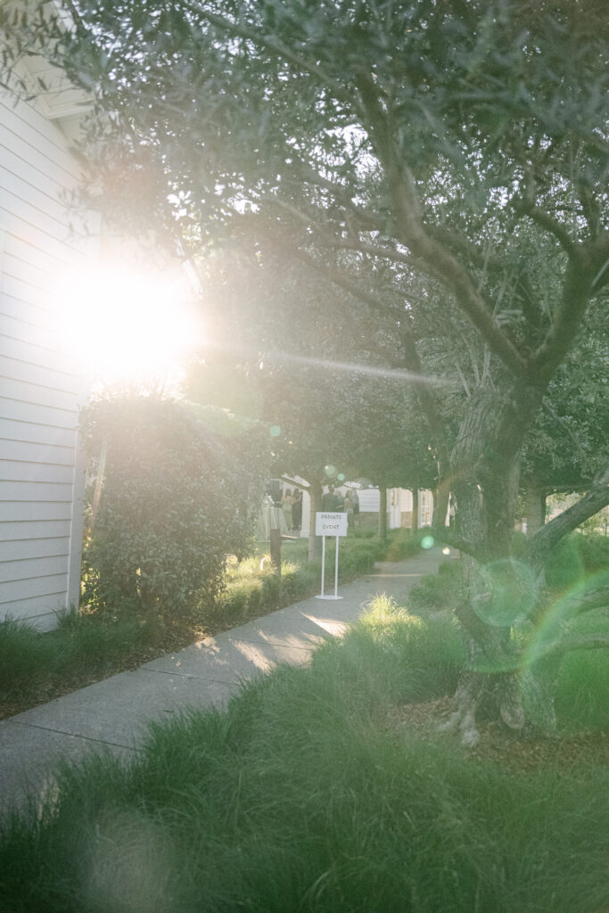 vineyard wedding reception outdoor wedding Northern California
