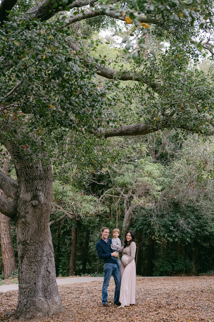 family of three standing under large tree in Oakland during outdoor family photography session
