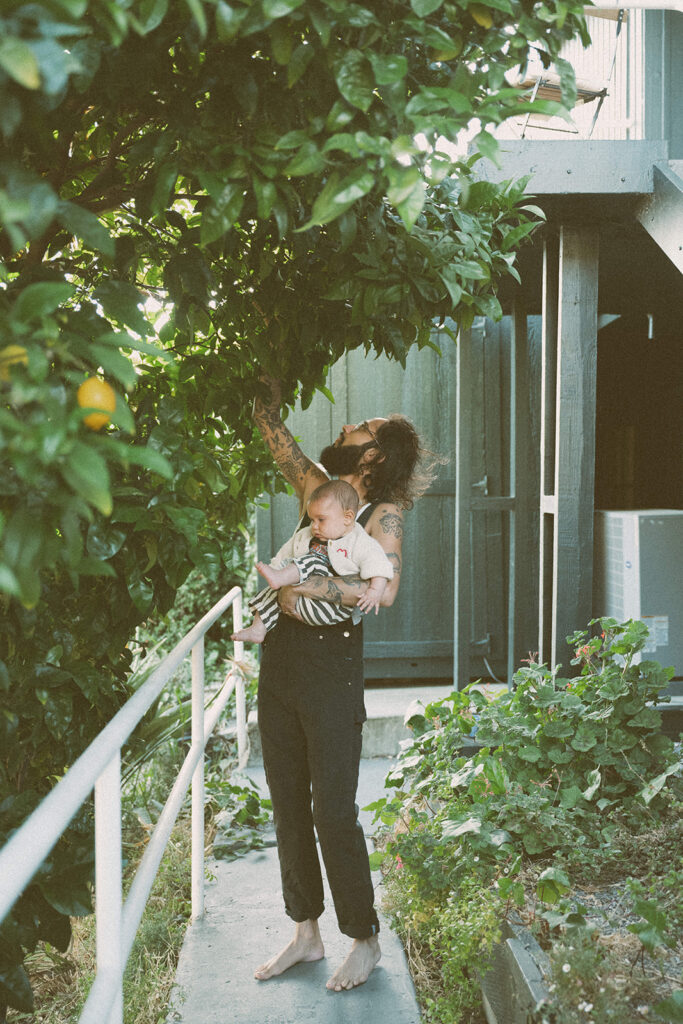 parent holding baby while reaching into lemon tree outside home during lifestyle family photography session