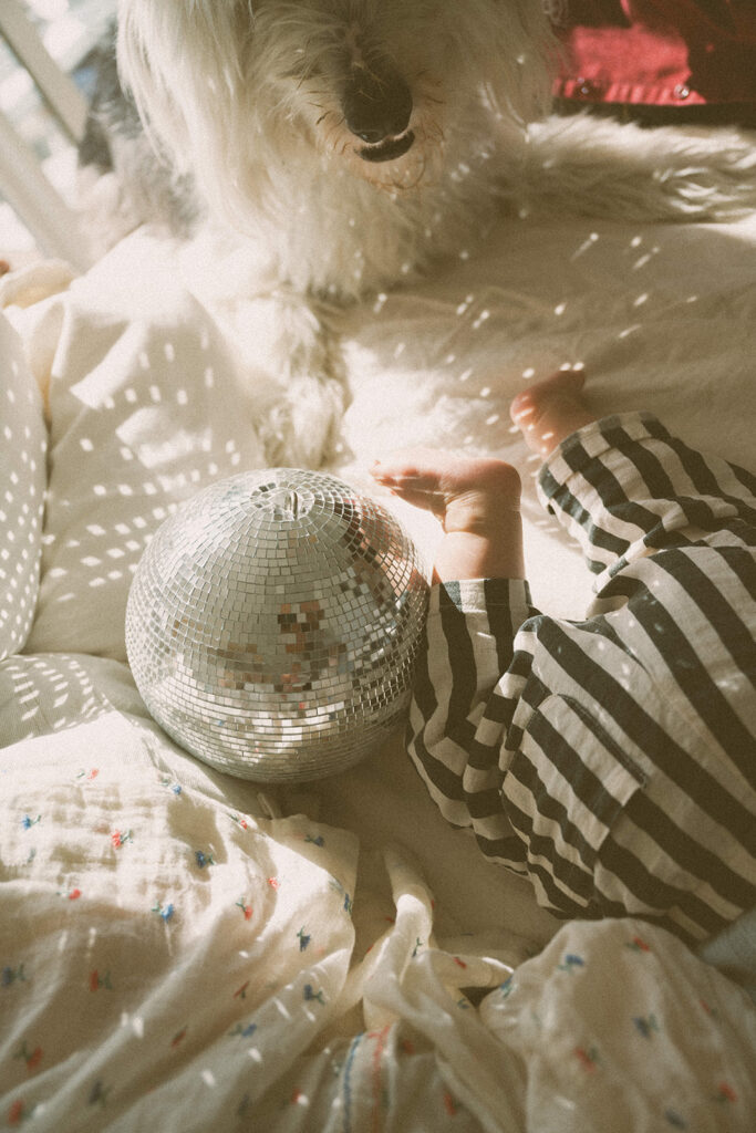 in-home newborn photography session with baby feet, dog, disco ball, and natural light in the San Francisco Bay Area